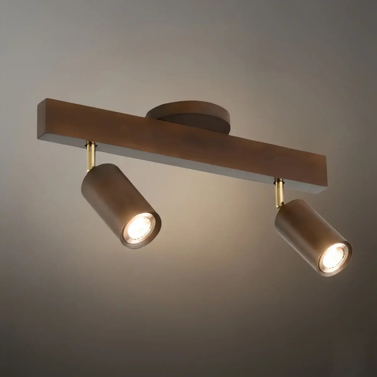 Modern Track Light